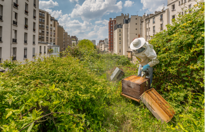 Volkan Tacani - Citybzz