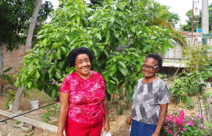 Agnès Delefortrie - La Havane