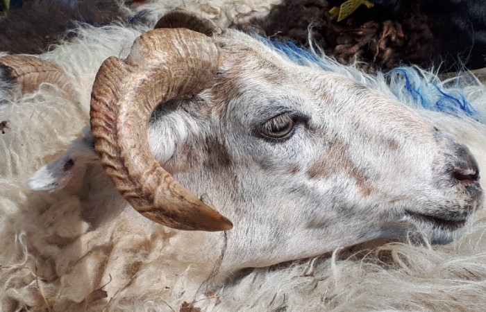 Christelle Exbrayat - Parc des Jalles à Bordeaux